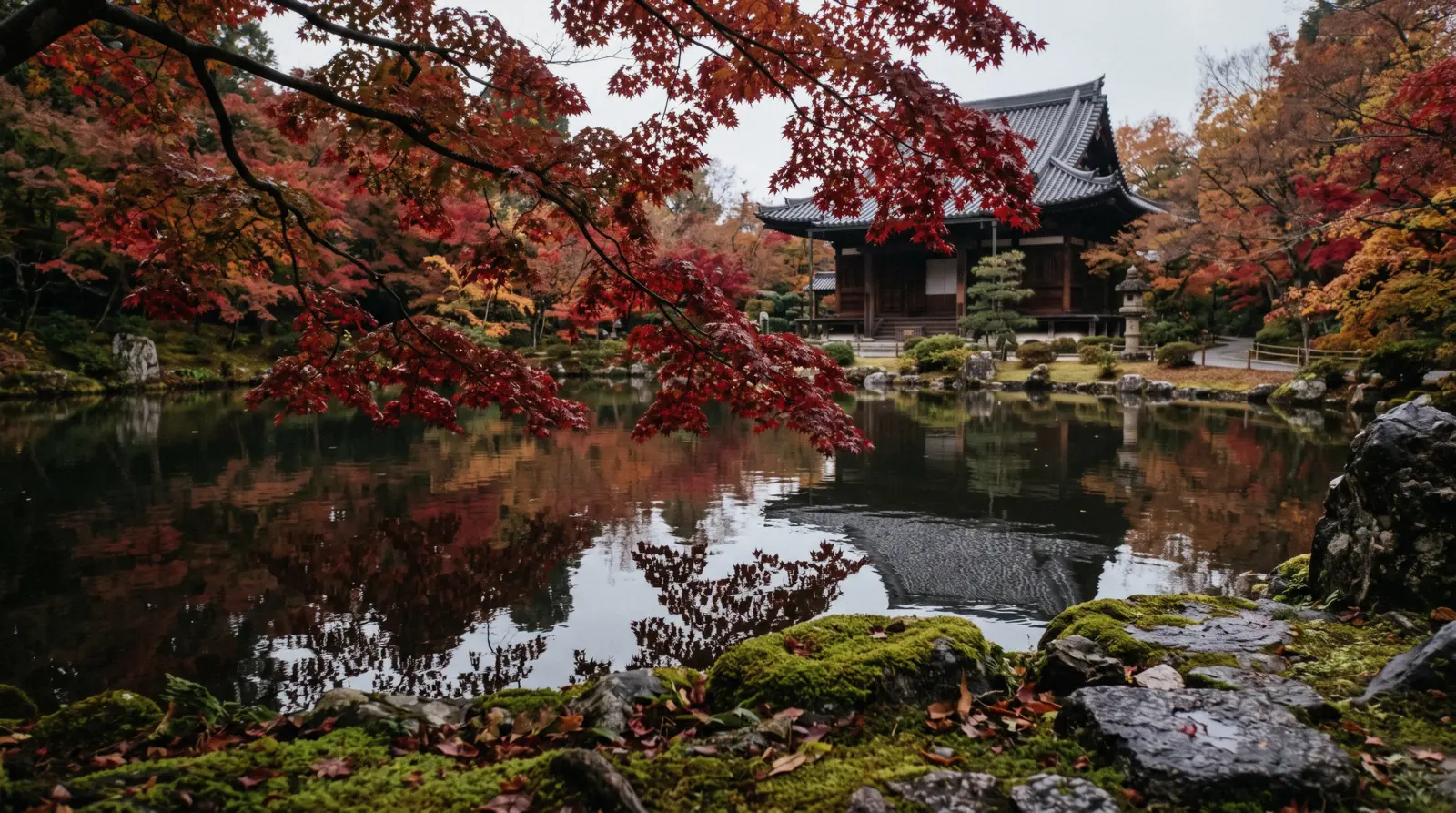 Maple leaves turning over a temple pond in late November, the best time to visit Kyoto Japan