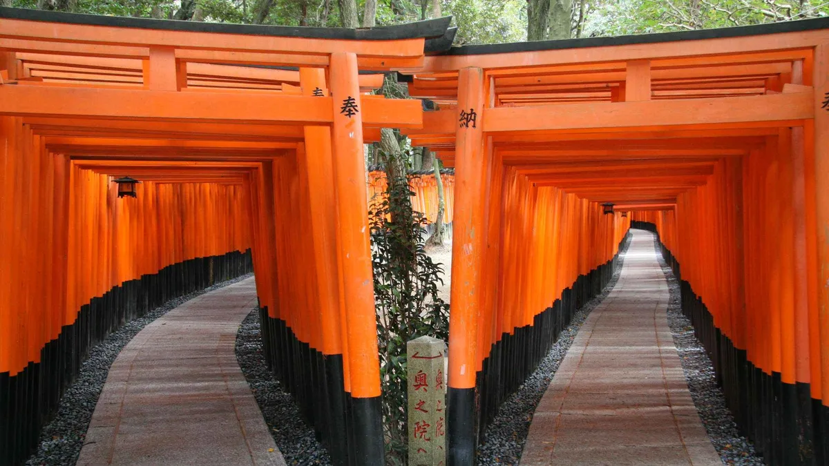 Coach group walking the vermilion torii path at Fushimi Inari on a full-day Kyoto bus tour, Kyoto Japan
