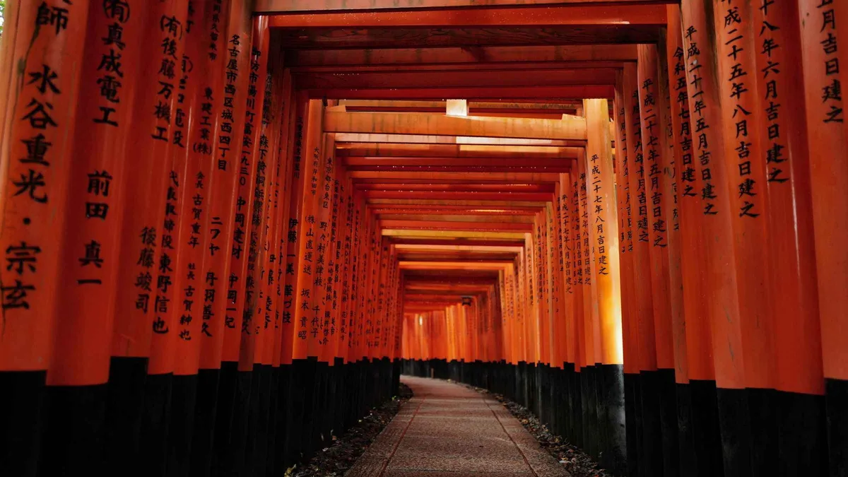 Empty bamboo path in Arashiyama at sunrise on an early-morning guided tour of Kyoto, Kyoto Japan